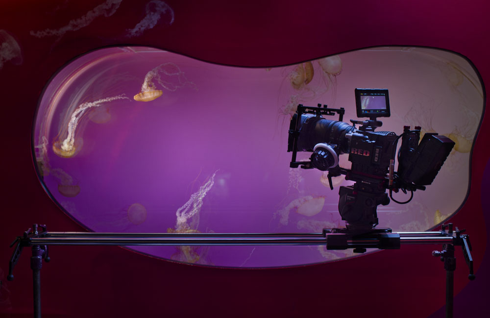 RED Epic on Atlas 200 films epic jellyfish RED Epic on Atlas 200 films epic jellyfish